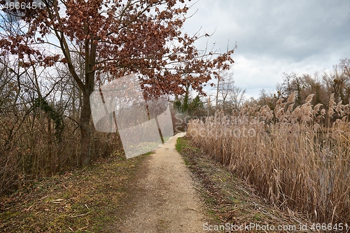 Image of Walk in the autumn lakeside park