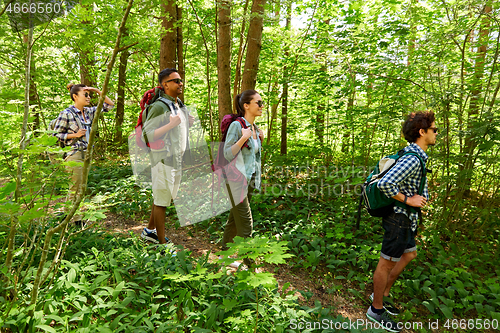 Image of group of friends with backpacks hiking in forest