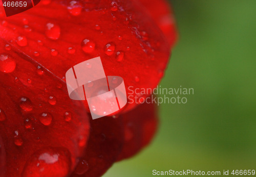 Image of water drops background