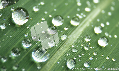 Image of water drops background