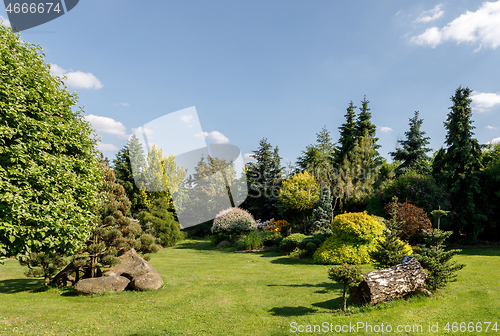 Image of colorful spring garden