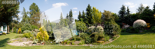 Image of colorful spring garden