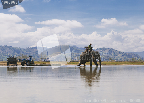 Image of Elephant rider in Vietnam