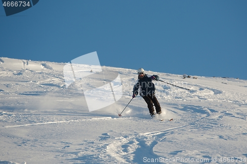 Image of Skiing in fresh powder snow