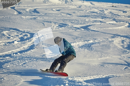 Image of Snowboarding in fresh powder snow