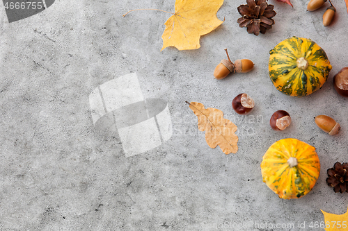 Image of autumn leaves, chestnuts, acorns and pumpkins