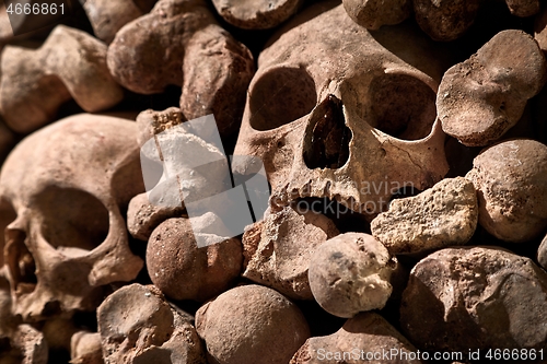 Image of Skulls and bones in a wall