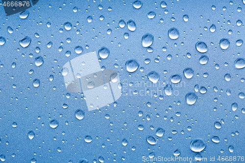 Image of Shiny Water Droplets