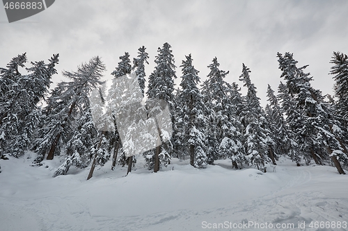 Image of Winter Snowy Landscape, Mountains and Trees