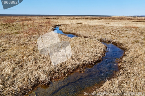 Image of Little Creek Flowing