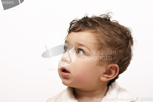 Image of Fascination