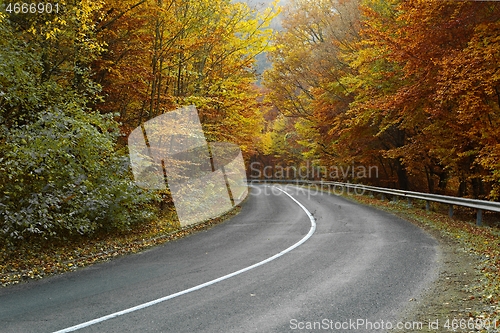 Image of Autumn road through woods