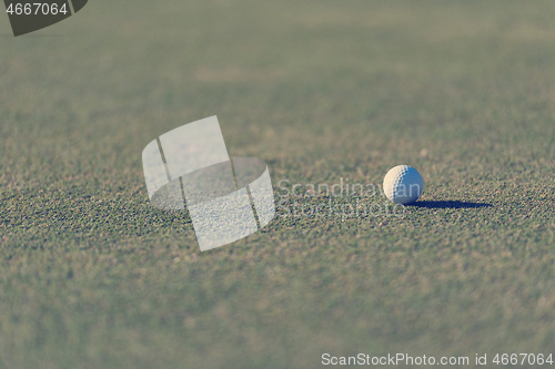 Image of golf ball on grass