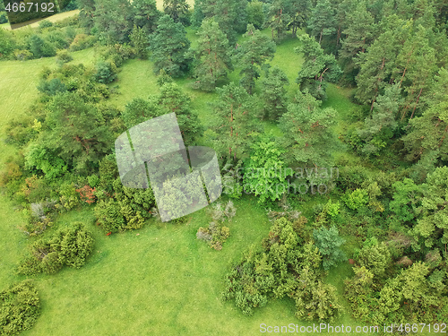 Image of aerial view trees