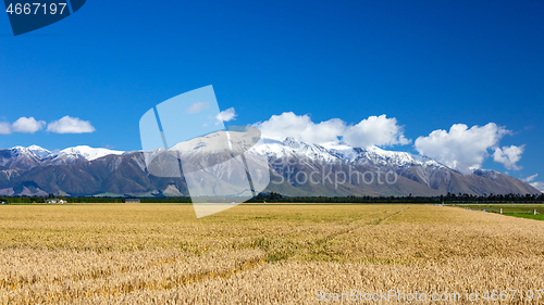 Image of Mount Taylor and Mount Hutt scenery in south New Zealand