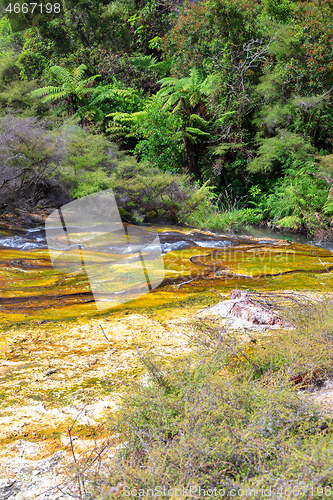 Image of volcanic activities at waimangu