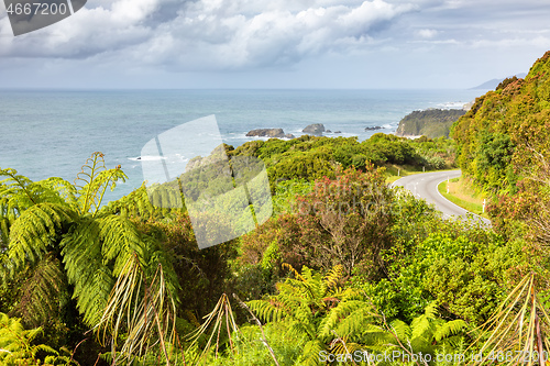 Image of lush coast at New Zealand south