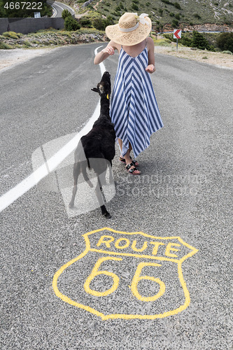 Image of Young attractive woman wearing striped summer dress and straw hat standing on an endless straight empty road in the middle of nowhere on the Route 66 road and feeding black sheep.