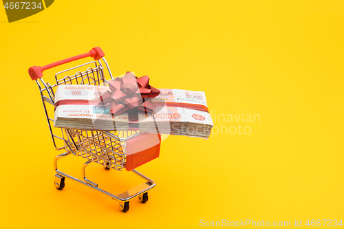 Image of On the grocery cart is a bundle of money as a gift