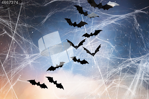 Image of black bats over starry night sky and spiderweb