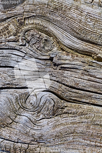 Image of Old Wood Texture