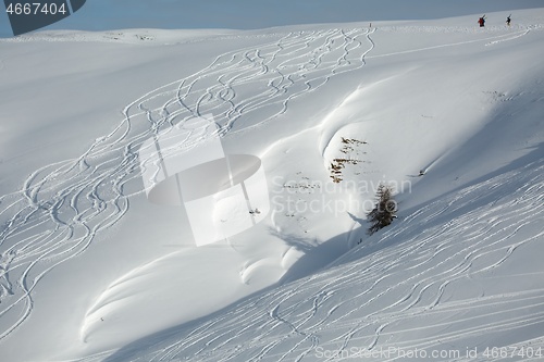 Image of Ski Slope with Fresh Curves