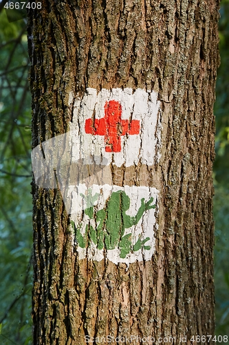 Image of Hiking trail signs