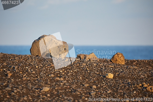 Image of Iceland landscape with volcanic rocks