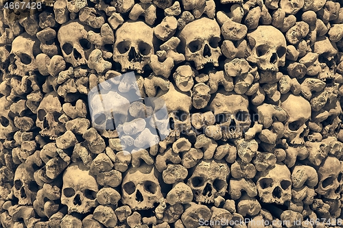 Image of Skulls and bones in a wall