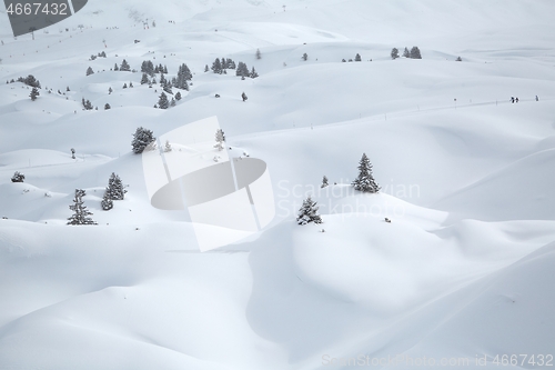 Image of Winter landscape in the mountains, fresh snow