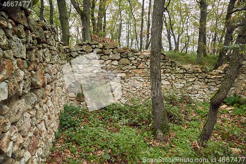 Image of Old Stone Wall in a forest
