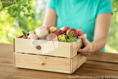 Image of woman with wooden box of ripe apples