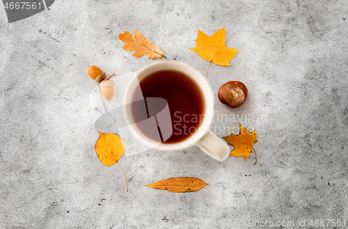 Image of cup of tea, autumn leaves, acorns and chestnut