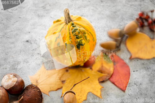 Image of close up of pumpkin, acorns and autumn leaves