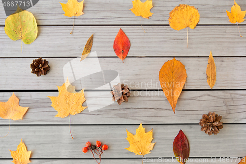 Image of dry autumn leaves, rowanberries and pine cones