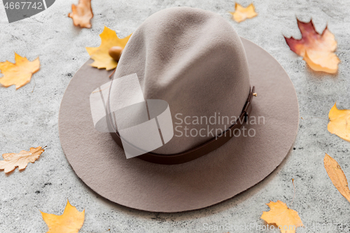 Image of hat and fallen autumn leaves on gray stone