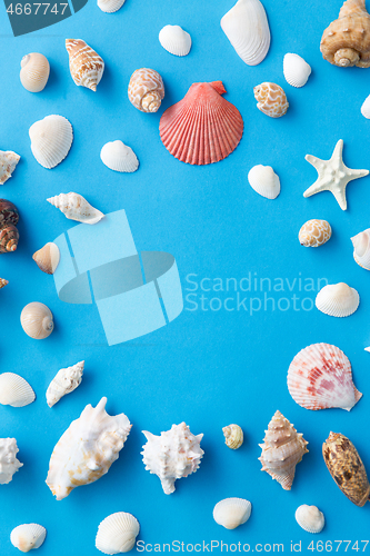 Image of frame of different sea shells on blue background