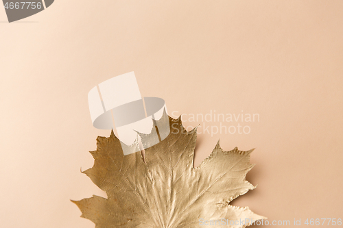 Image of golden maple leaf on beige background