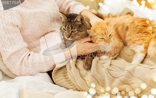 Image of close up of owner with red and tabby cat in bed