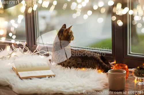 Image of tabby cat lying on window sill with book at home