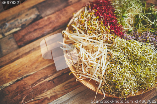 Image of Vegetarian concept food. A set of different sprouted seeds for healthy eating on a wooden plate