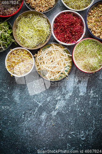 Image of Various types of micro greens in colorful bowls on slate background. Fresh garden products