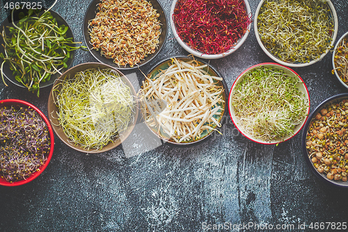 Image of Various types of micro greens in colorful bowls on slate background. Fresh garden products