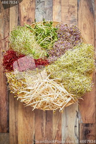 Image of Vegetarian concept food. A set of different sprouted seeds for healthy eating on a wooden plate