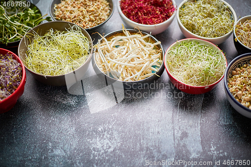 Image of Various types of micro greens in colorful bowls on slate background. Fresh garden products