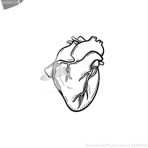 Image of A heart hand drawn outline doodle icon.
