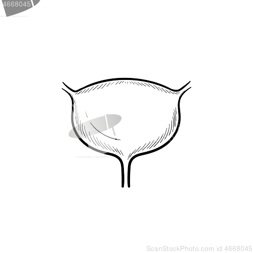Image of Urinary bladder hand drawn outline doodle icon.