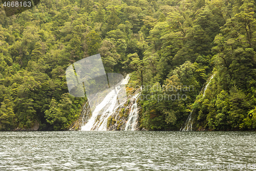 Image of Fiordland National Park New Zealand