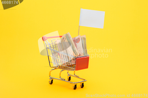 Image of In the grocery cart lies a bundle of five thousandth bills and a white flag is set