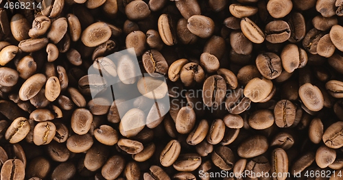 Image of Roasted Coffee Beans